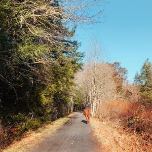 Meet your Posher, Natalie